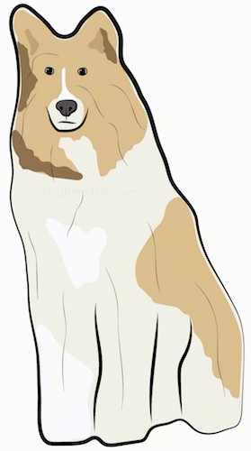 A drawing of a large breed tan with white dog with a thick coat, a long muzzle dark eyes, perk ears and a black nose sitting down.
